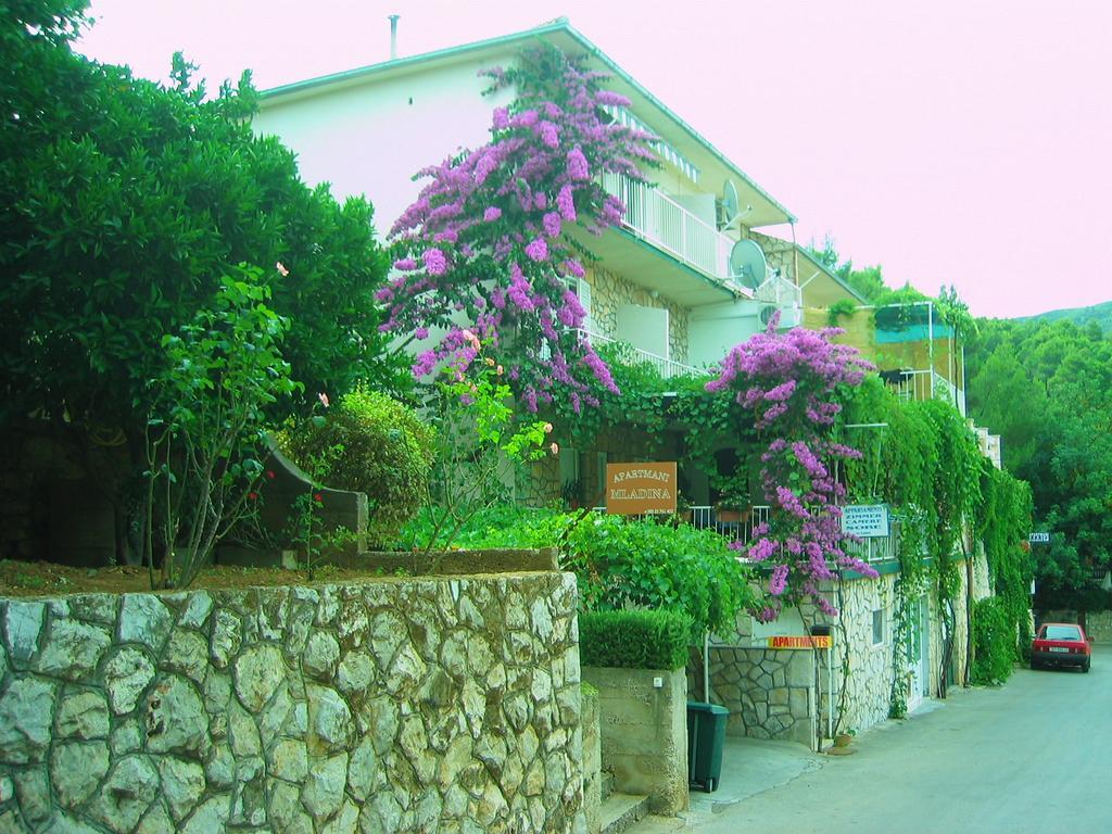 ילסה Villa Volga מראה חיצוני תמונה